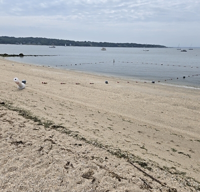 Sea Cliff Yacht Club Bathing Beach Design
